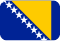 executive summary bosnian