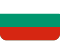 executive summary bulgarian