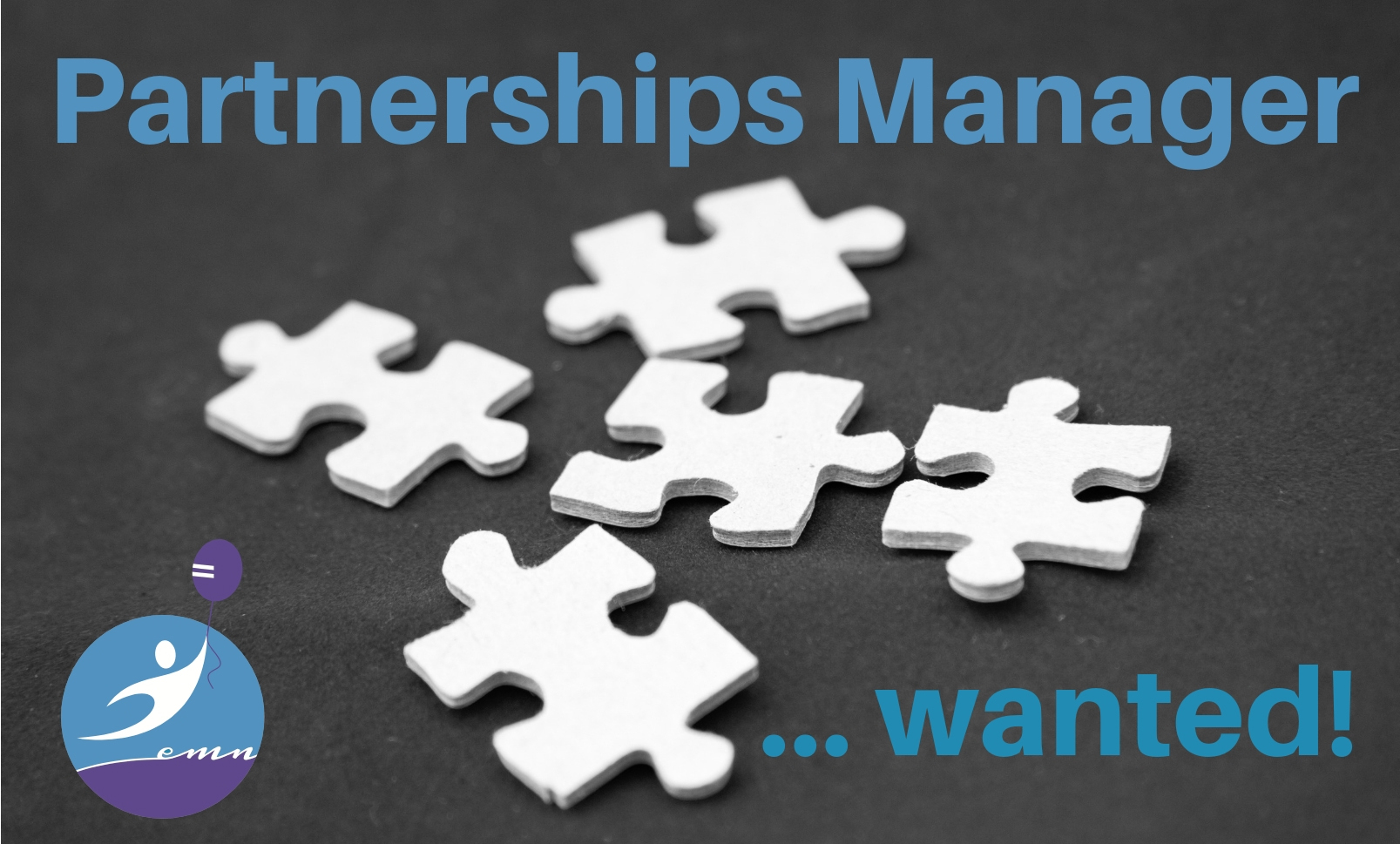 EMN is looking for Partnerships Manager