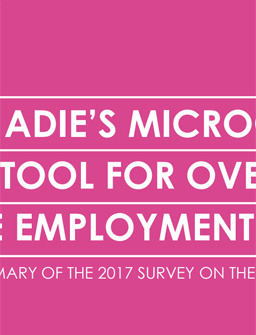 Adie’s Microcredit, a Tool for Overcoming the Employment Challenge - Summary of the 2017 Survey on the Impact of Adie’s Work