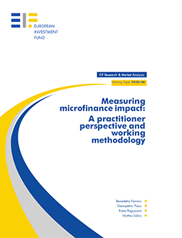 cover Measuring microfinance impact: A practitioner perspective and working methodology